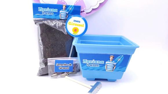 Kit Plantação Ecológico Lembrancinha Ken da Barbie