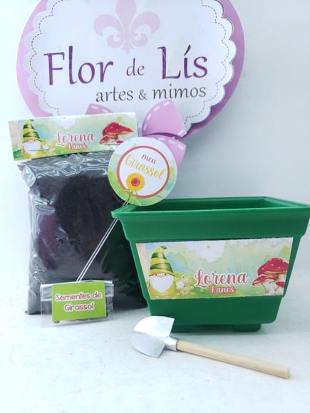 Kit Plantação Ecológico Jardim Gnomos Aquarela Menino