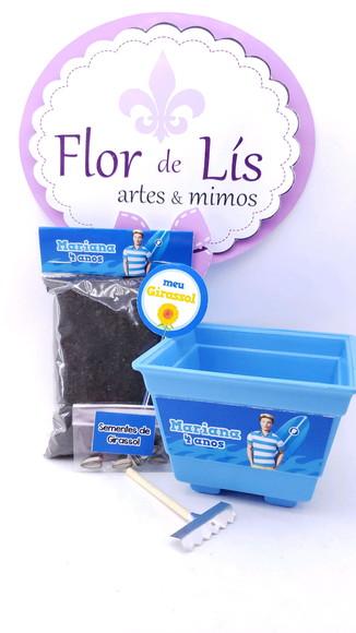Kit Plantação Ecológico Lembrancinha Ken da Barbie