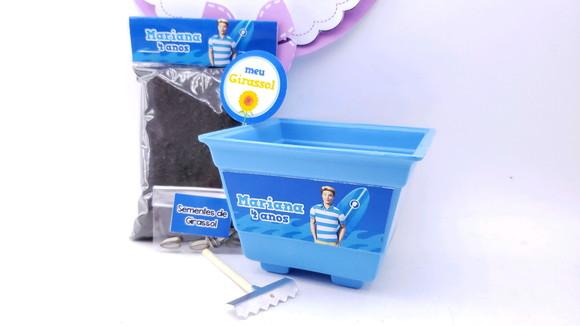 Kit Plantação Ecológico Lembrancinha Ken da Barbie