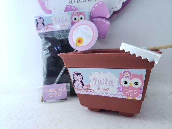 Kit Plantação Educativo Corujinha Brinde Escola
