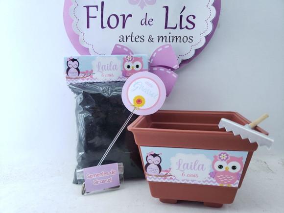 Kit Plantação Educativo Corujinha Brinde Escola