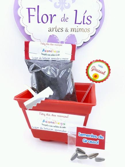 Kit Plantação Educativo Ecológico Brinde Dia das Crianças