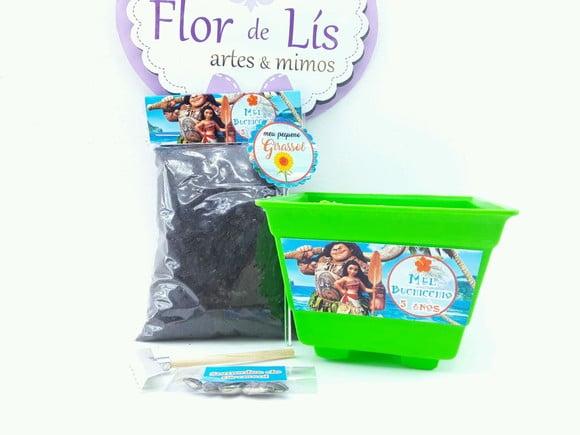 Kit Plantação Educativo Moana e Maui
