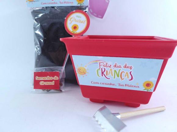 Kit Plantação Escolar Ecológico Brinde Dia das Crianças
