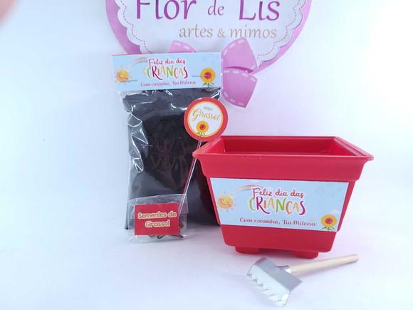 Kit Plantação Escolar Ecológico Brinde Dia das Crianças