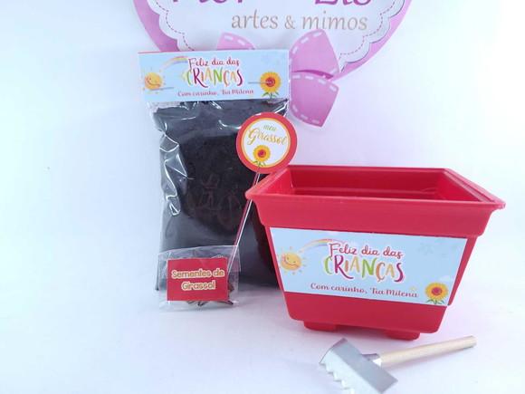 Kit Plantação Escolar Ecológico Brinde Dia das Crianças