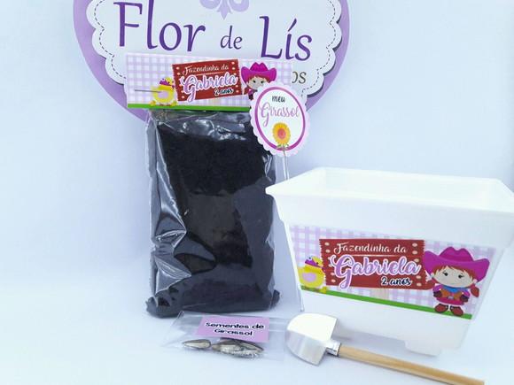 Kit Plantação Fazendinha Rosa Menina