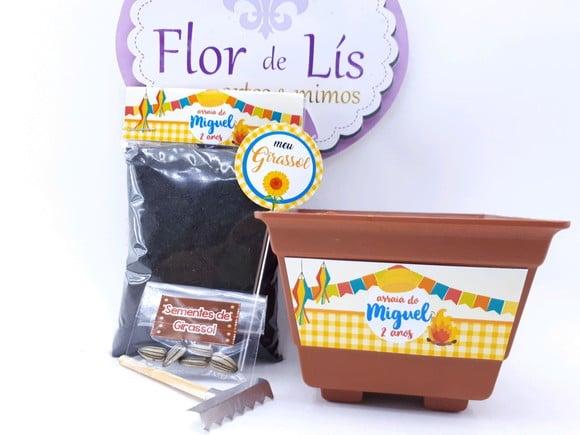 Kit Plantação Festa Junina Arraiá
