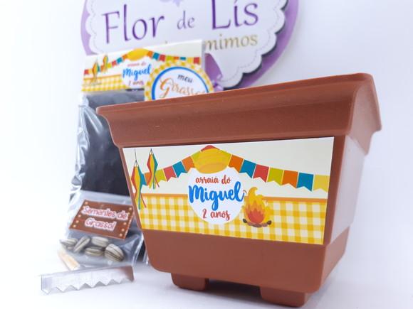 Kit Plantação Festa Junina Arraiá