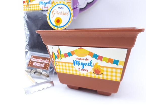 Kit Plantação Festa Junina Arraiá