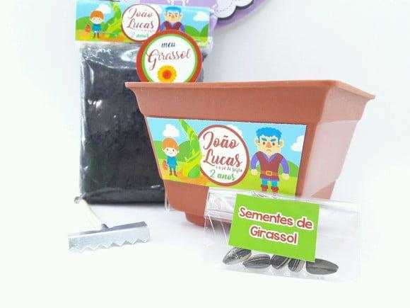 Kit Plantação História Livro João e o Pé de Feijão