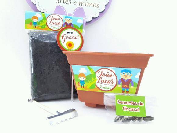 Kit Plantação História Livro João e o Pé de Feijão