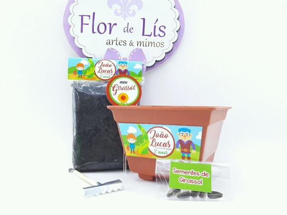 Kit Plantação História Livro João e o Pé de Feijão