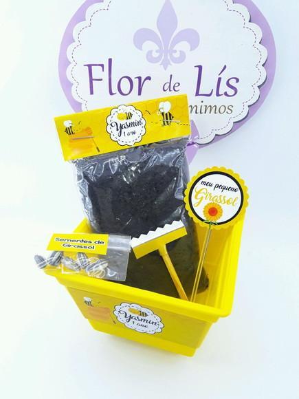 Kit Plantação Jardim das Abelhas Lembrancinha Abelhinha