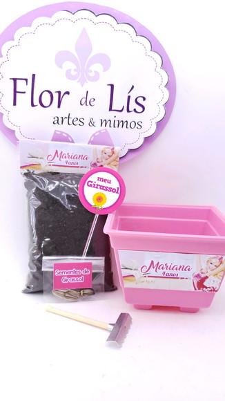 Kit Plantação Jardim Lembrancinha Barbie