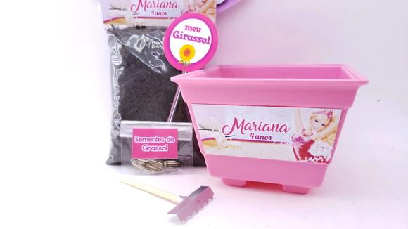 Kit Plantação Jardim Lembrancinha Barbie