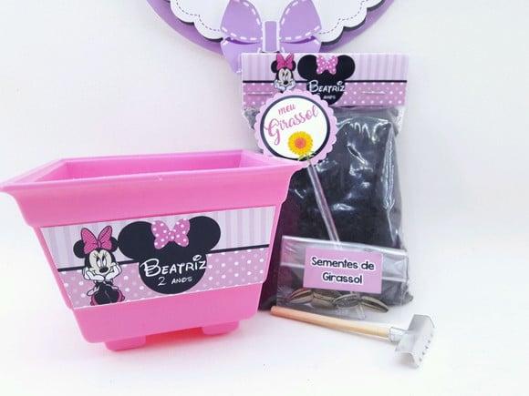 Kit Plantação Jardim Minnie Rosa