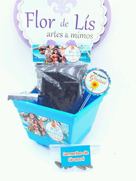 Kit Plantação Jardim Moana e Maui