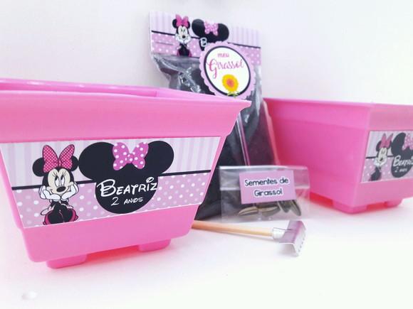 Kit Plantação Jardim Minnie Rosa