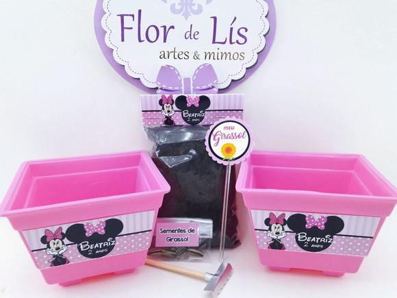 Kit Plantação Jardim Minnie Rosa