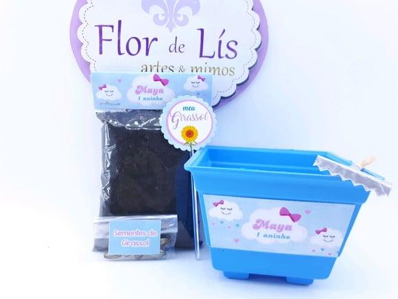 Kit Plantação Jardinagem Chuva de Amor Benção