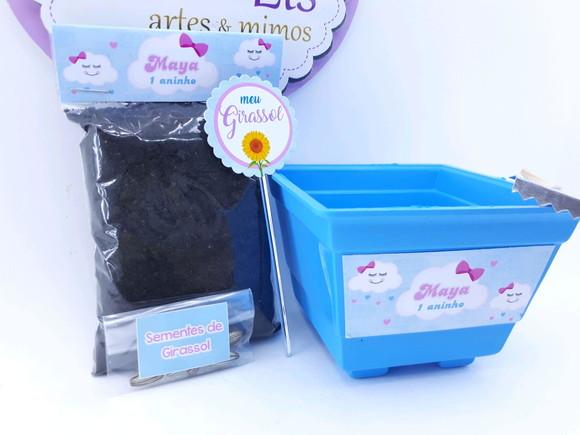 Kit Plantação Jardinagem Chuva de Amor Benção