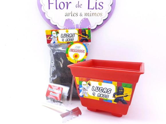 Kit Plantação Lego Ninja Go