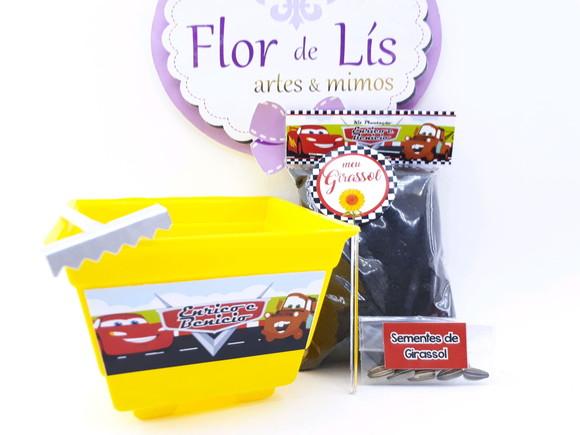 Kit Plantação Lembrancinha Ecológica Carros