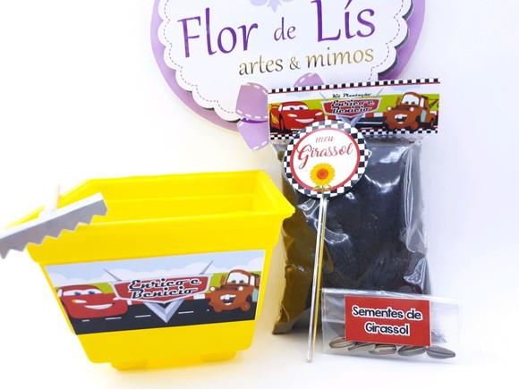 Kit Plantação Lembrancinha Ecológica Carros