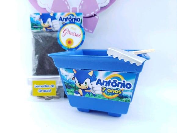 Kit Plantação Lembrancinha Ecológica Sonic