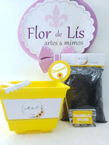 Kit Plantação Lembrancinha Ecológica Casamento Pajens