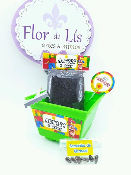 Kit Plantação Lembrancinha Lego