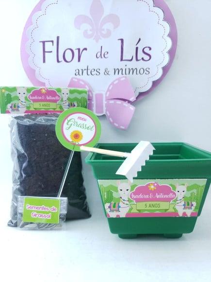 Kit Plantação Lhama e Cacto Ecológico
