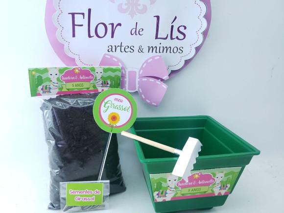 Kit Plantação Lhama e Cacto Ecológico