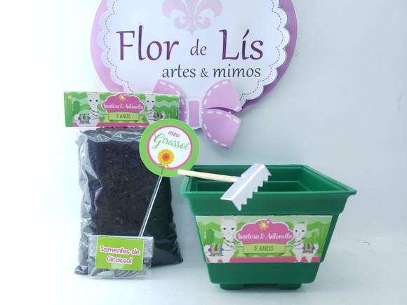 Kit Plantação Lhama e Cacto Ecológico