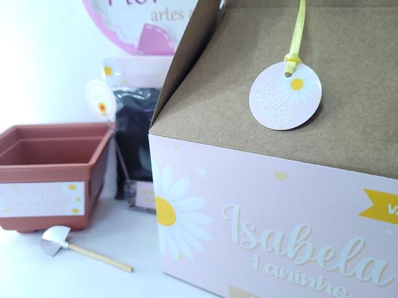 Kit Plantação Margarida Lembrancinha na Maleta Caixinha