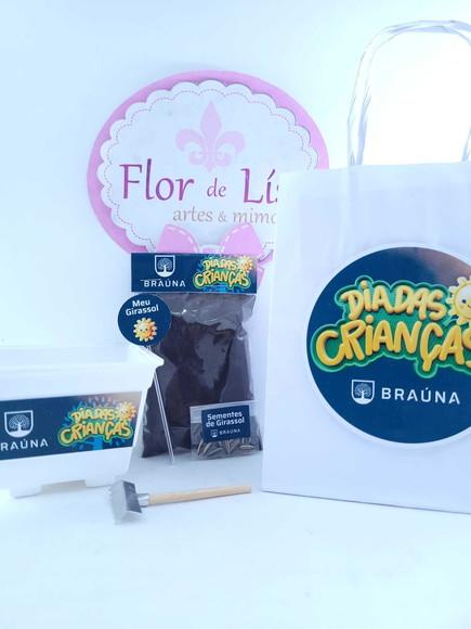 Kit Plantação Meu Girassol Dia das Crianças com Sacola