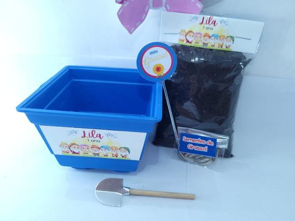 Kit Plantação os Sete Anões Branca de Neve Lembrança Meninos