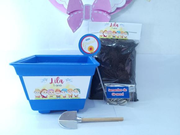 Kit Plantação os Sete Anões Branca de Neve Lembrança Meninos