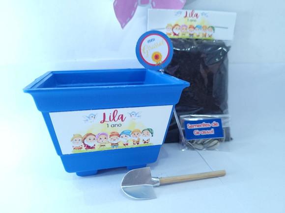 Kit Plantação os Sete Anões Branca de Neve Lembrança Meninos