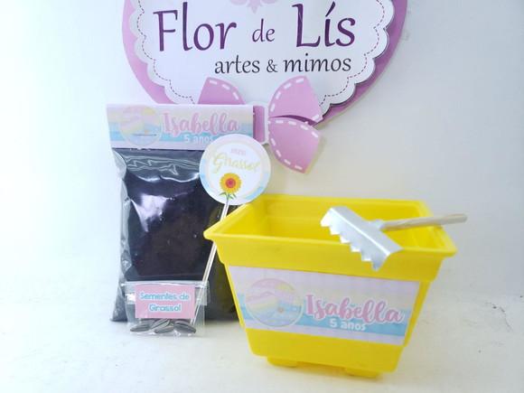 Kit Plantação Pop It Candy Color Ecológico