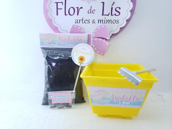 Kit Plantação Pop It Candy Color Ecológico
