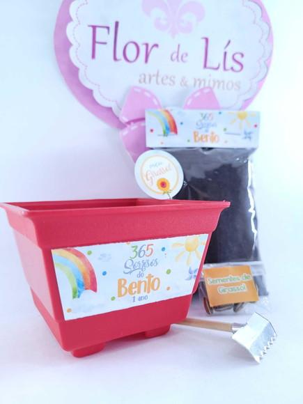 Kit Plantio 365 Sorrisos Primeira Volta ao Sol Vamos Plantar