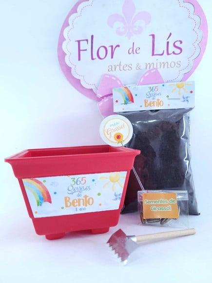 Kit Plantio 365 Sorrisos Primeira Volta ao Sol Vamos Plantar