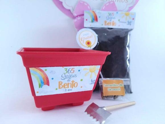 Kit Plantio 365 Sorrisos Primeira Volta ao Sol Vamos Plantar