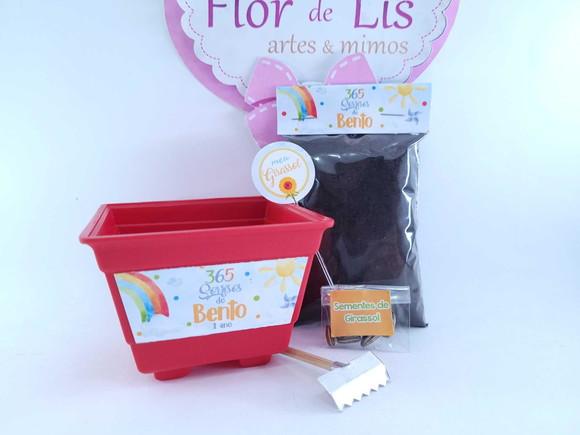 Kit Plantio 365 Sorrisos Primeira Volta ao Sol Vamos Plantar
