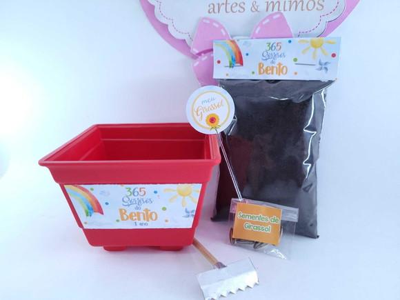 Kit Plantio 365 Sorrisos Primeira Volta ao Sol Vamos Plantar