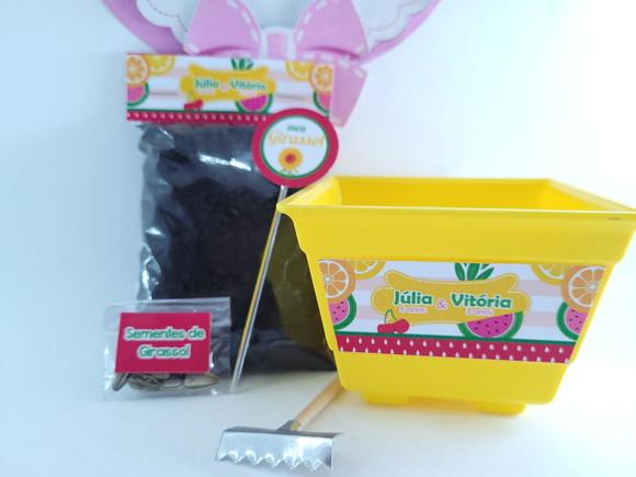 Kit Plantio Festa Quitandinha Lembrancinha Frutinhas