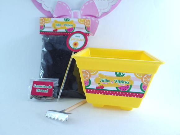Kit Plantio Festa Quitandinha Lembrancinha Frutinhas